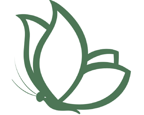 Why the Butterfly? What Our Icon Means to You.
